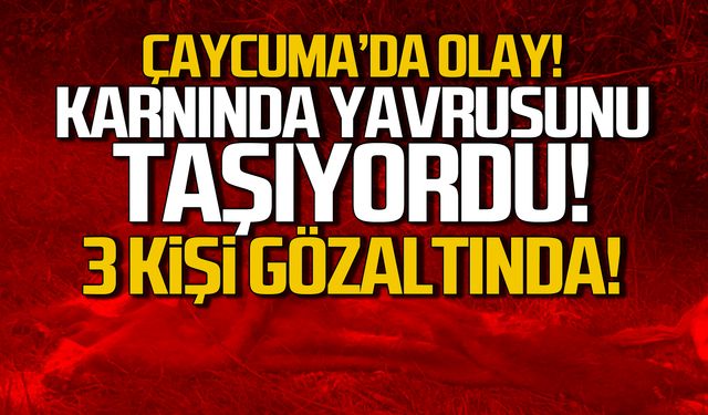 Çaycuma'da olay! Hamileyken öldürmüşler! 3 gözaltı!