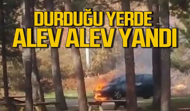 Karabük'te park halindeki araç alev alev yandı!