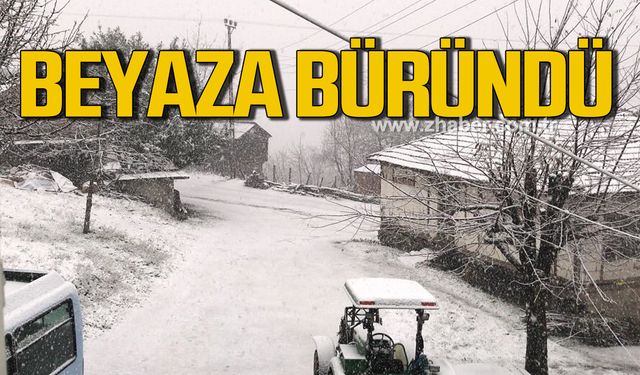 Alaplı Gümeli beyaza büründü!