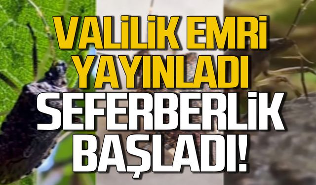 Kahverengi Kokarca Mücadele Seferberliği başladı