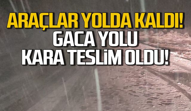 Zonguldak Gaca yolu kara teslim oldu!