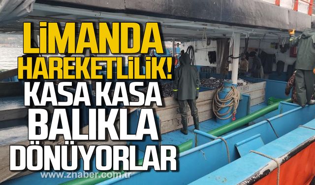 Limanda hareketlilik! Kasa kasa balıkla dönüyorlar!