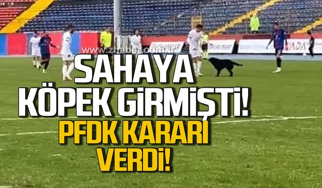 Sahaya köpek girmişti! PFDK disiplin ihlali oluşmadığına karar verdi