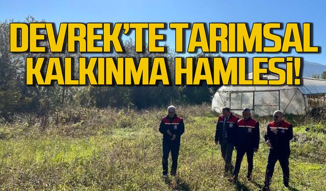 Devrek'te tarımsal kalkınma hamlesi!