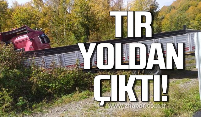 Tır yoldan çıktı! Sürücü yaralandı