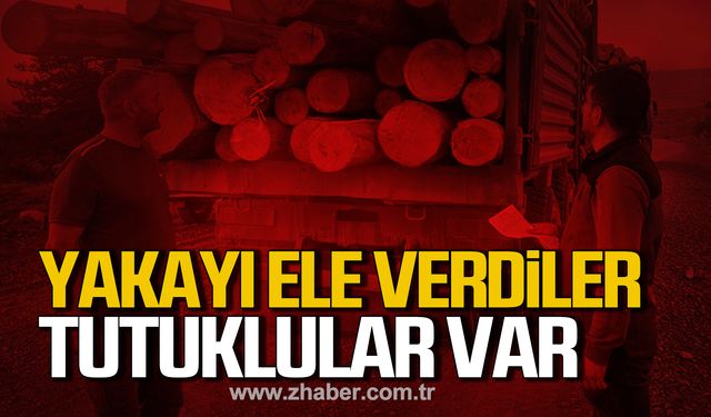 Tomruk hırsızları yakayı ele verdi! Tutuklular var!