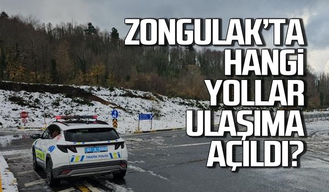 Zonguldak'ta kapalı yollar ulaşıma açıldı!