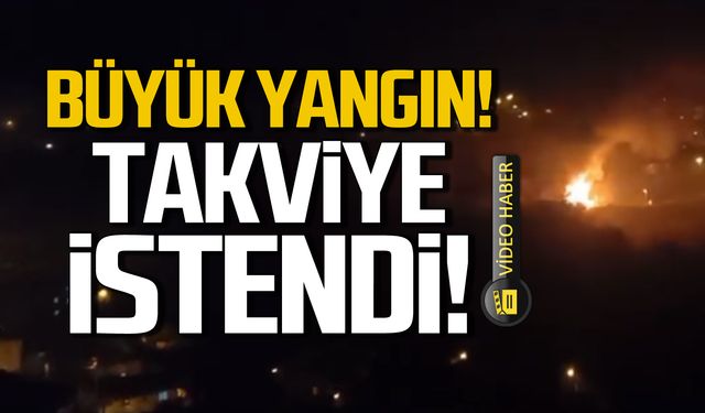 Zonguldak Gümüşhane'de yangın! Takviye istendi!