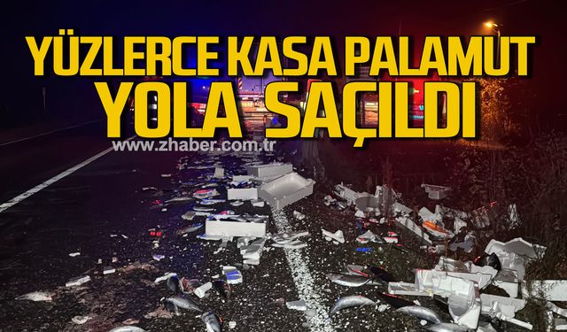 Bir anda oldu! Yüzlerce kasa palamut yola saçıldı!