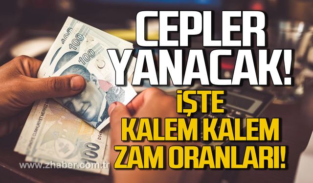 Trafik cezası, yurt dışı çıkış harcı, MTV'ye zam!