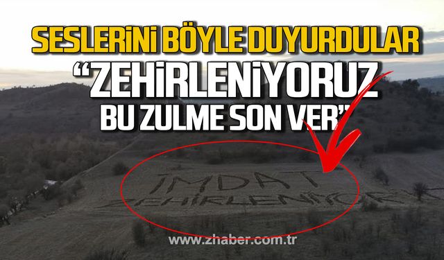 Seslerini böyle duyurdular! "Gerede Çayı ölüm akıyor, zehirleniyoruz"