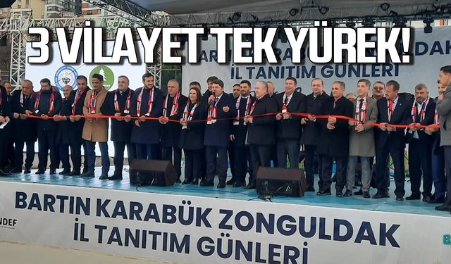 Üç vilayet, tek yürek