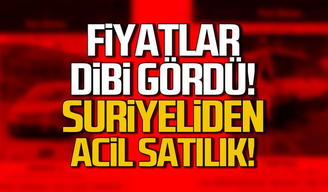 Fiyatlar dibi gördü! "Suriyeliden acil satılık"