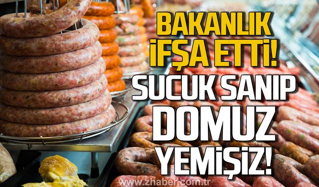 Bakanlık açıkladı. O markalarda 'domuz eti' skandalı!