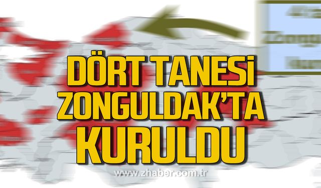 Zonguldak'ta 4 tane kuruldu!