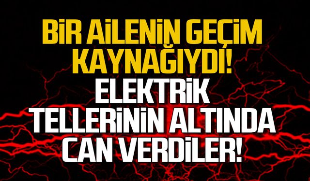 Dilaver'de acı olay! Ailenin geçim kaynağı elektrik akımına kapıldı!