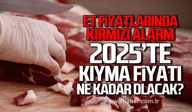 Ocak 2025'te kıyma fiyatı ne kadar olacak?