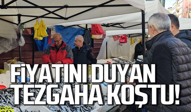 Zonguldak'ta hamsi bolluğu! Fiyatını gören tezgaha koştu!