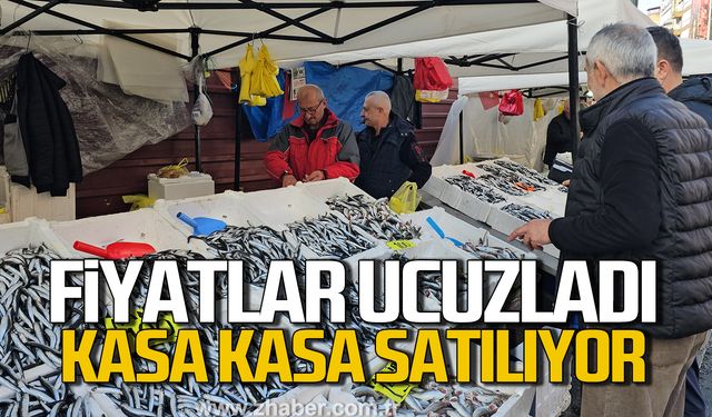 Zonguldak'ta balık fiyatları ucuzladı! Kasa kasa satılıyor!