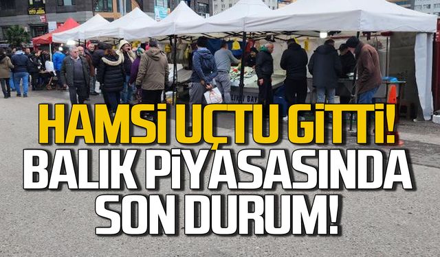 Zonguldak'ta hamsi uçuşa geçti! Vatandaşlar istavrite yöneldi