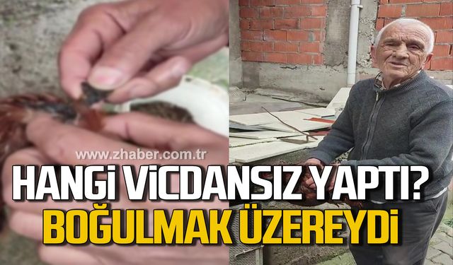 Hangi vicdansız yaptı? Boğulmak üzereydi!