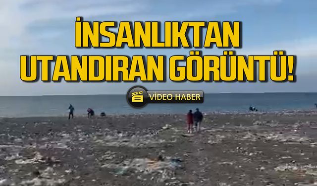 Kozlu Sahili'nde insanlıktan utandıran görüntü!