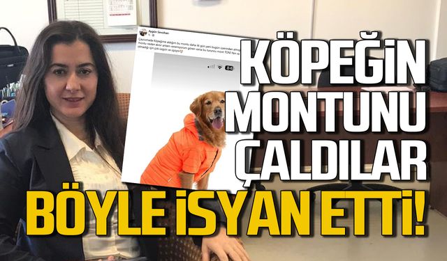 Köpeğin montunu çaldılar! Paylaşımına tepki yağdı!