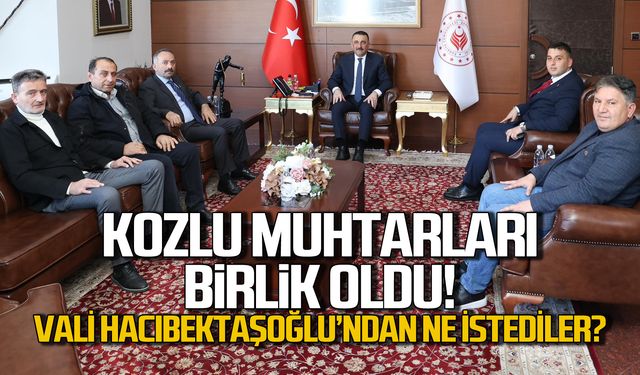 Kozlu muhtarları birlik oldu! Vali Hacıbektaşoğlu'ndan ne istediler?