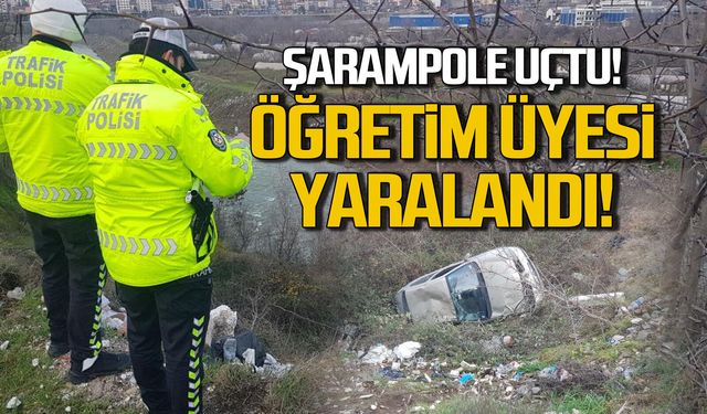 Şarampole uçtu! Öğretim görevlisi yaralandı