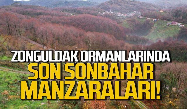 Zonguldak ormanlarında sonbahardan kışa geçiş manzaraları