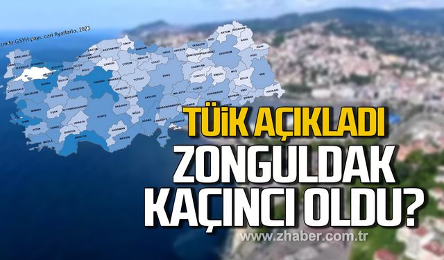 TÜİK Gayrisafi Yurt İçi Hasıla verilerini açıkladı! Zonguldak kaçıncı oldu?