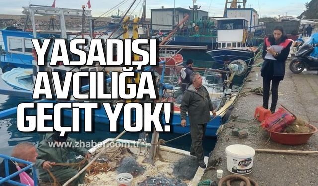 Zonguldak'ta su ürünlerine denetim! Yasadışı avcılığa geçit yok!