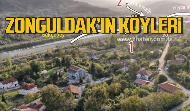 Zonguldak’ın köyleri! Üçburgu köyü'nde kalıntılar yok ediliyor!