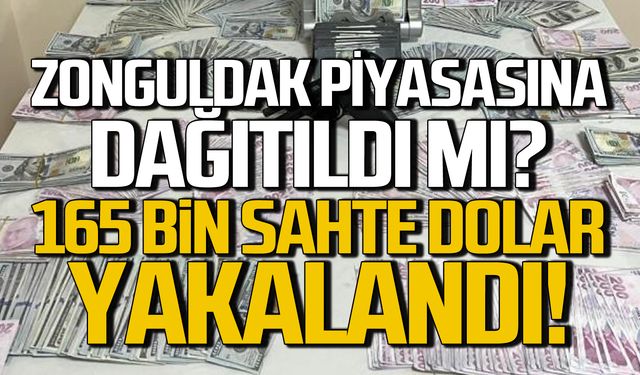 165 bin sahte dolar yakalandı! Zonguldak piyasasına dağıtıldı mı?