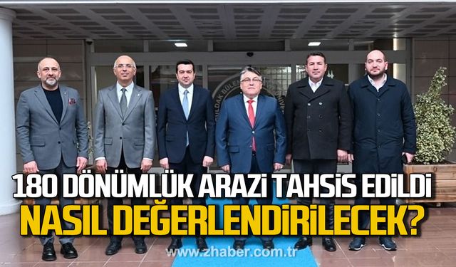 Devrek'e 180 dönümlük arazi tahsis edildi! Nasıl değerlendirilecek?