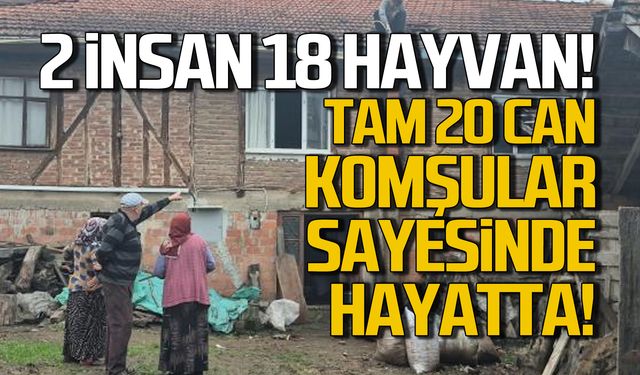 20 can komşuların sayesinde hayatta!