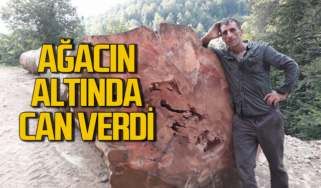 Ağacın altında can verdi! Yaşananları arkadaşı anlattı