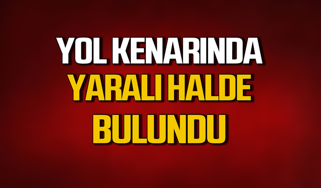 Yol kenarında yaralı Karaca bulundu