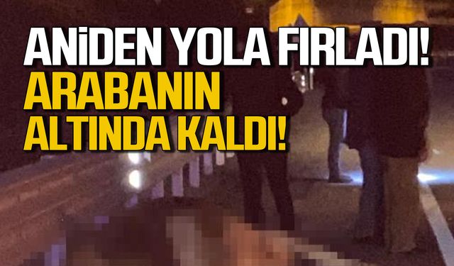 Bartın'da kaza! Aniden yola fırladı! Arabanın altında kaldı!