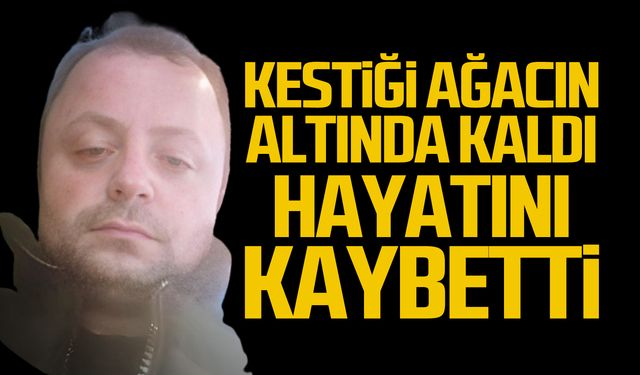 Kestiği ağacın altında kaldı Aykut Aydoğan hayatını kaybetti