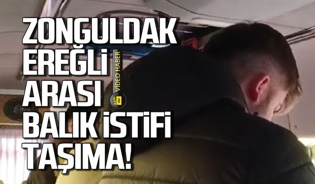 Zonguldak-Ereğli arası balık istifi yolcu taşıma!