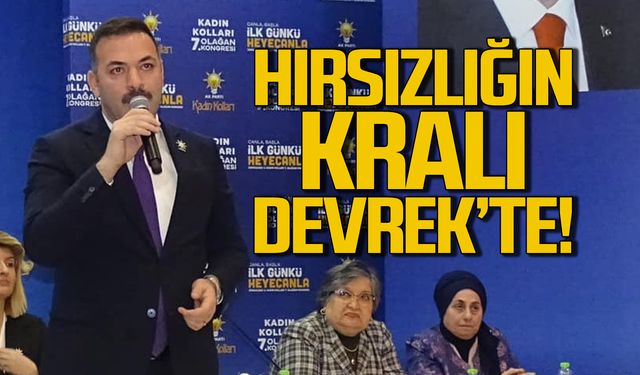 "Hırsızlığın kralı Devrek'te" İl başkanı muhalefete yüklendi!