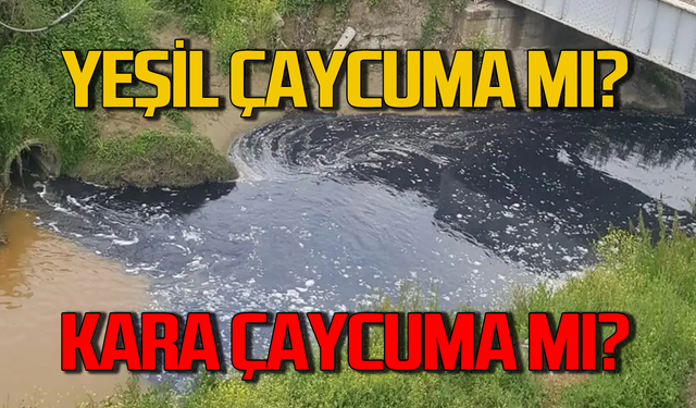 Çaycuma’da çevre katliamına kim dur diyecek!