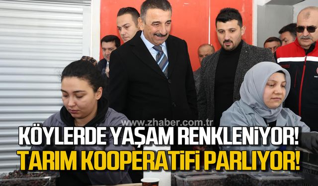 Devrek köylerinde yaşam renkleniyor! Tarım Kooperatifi parlıyor!