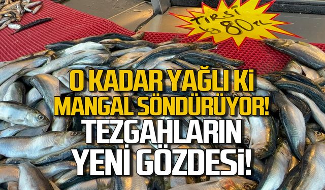 O kadar yağlı ki mangal söndürüyor! Tezgahların yeni gözdesi "Tırsi"