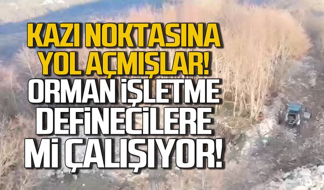 Kazı alanına yol açmışlar! Orman işletme definecilere mi çalışıyor?