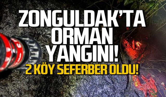 Zonguldak'ta orman yangını! 2 köy seferber oldu!