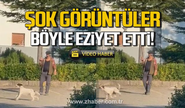 Bartın'da şok görüntüler! Güvercine böyle eziyet etti!