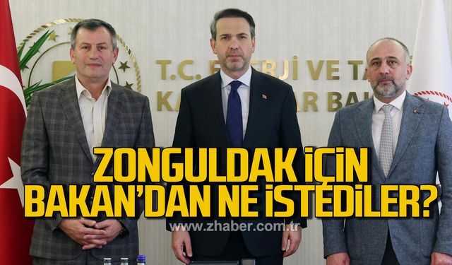 TSO'dan, Zonguldak için Bakanlıkta önemli görüşme!