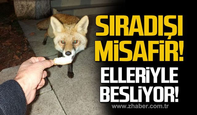 TTK misafirhanesinde sıradışı "Misafir"!